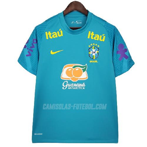nike camisola brasil pre-match ad azul 2021