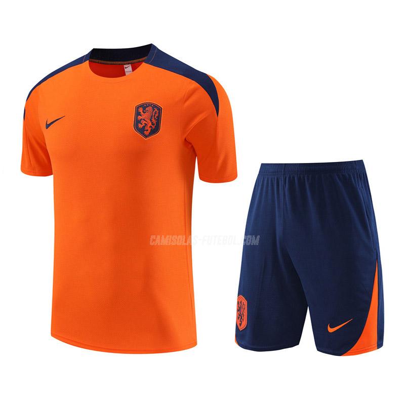 nike camisola training e calças holanda laranja 2024