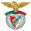camisola SL Benfica baratas
